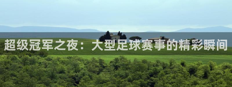 超级冠军之夜：大型足球赛事的精彩瞬间