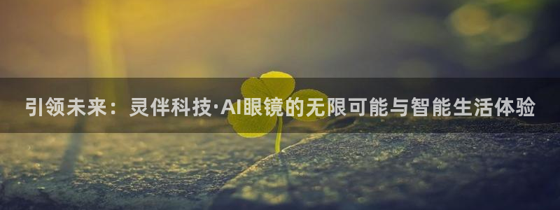 引领未来：灵伴科技·AI眼镜的无限可能与智能生活体验