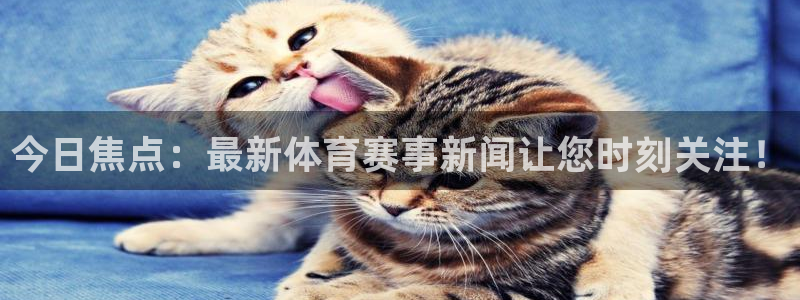 今日焦点：最新体育赛事新闻让您时刻关注！