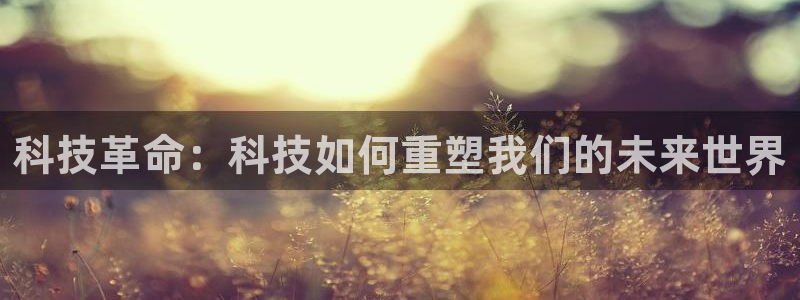 科技革命：科技如何重塑我们的未来世界