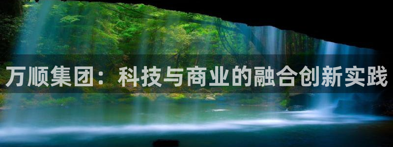 万顺集团：科技与商业的融合创新实践