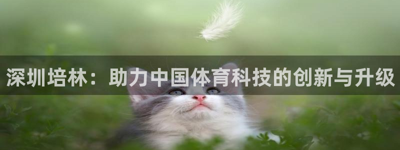 深圳培林：助力中国体育科技的创新与升级