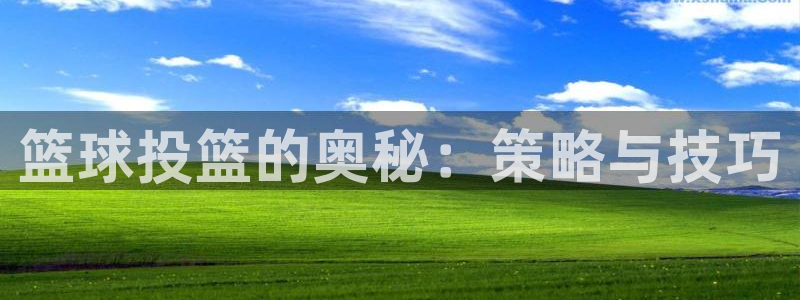 篮球投篮的奥秘：策略与技巧