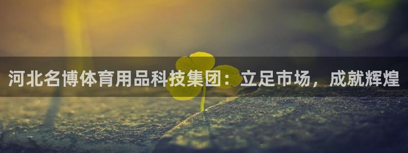 河北名博体育用品科技集团：立足市场，成就辉煌