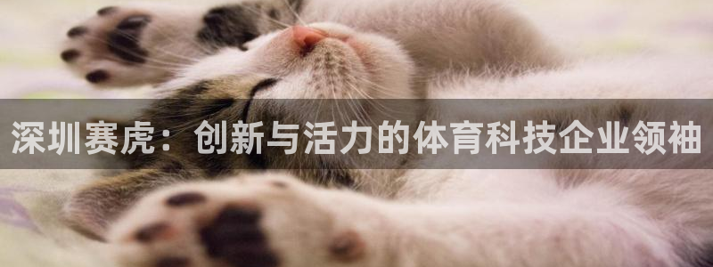 深圳赛虎：创新与活力的体育科技企业领袖