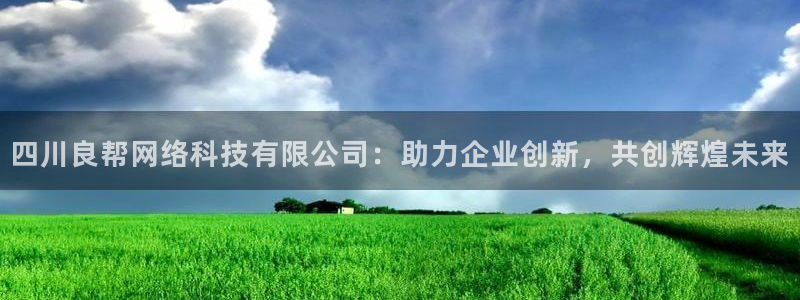 四川良帮网络科技有限公司：助力企业创新，共创辉煌未来