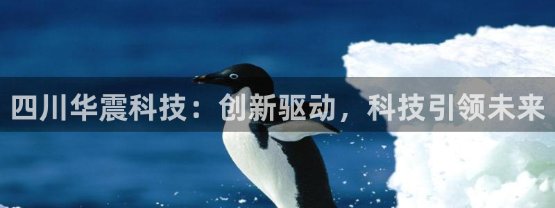 四川华震科技：创新驱动，科技引领未来