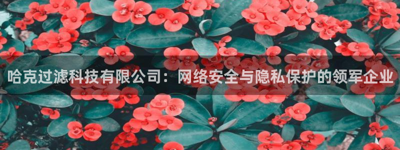 哈克过滤科技有限公司：网络安全与隐私保护的领军企业
