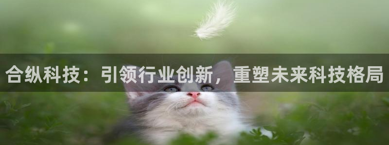 合纵科技：引领行业创新，重塑未来科技格局