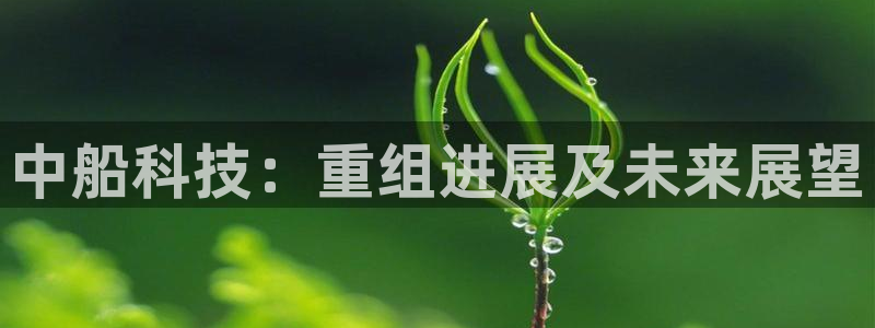 中船科技：重组进展及未来展望
