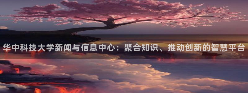 华中科技大学新闻与信息中心：聚合知识、推动创新的智慧平台