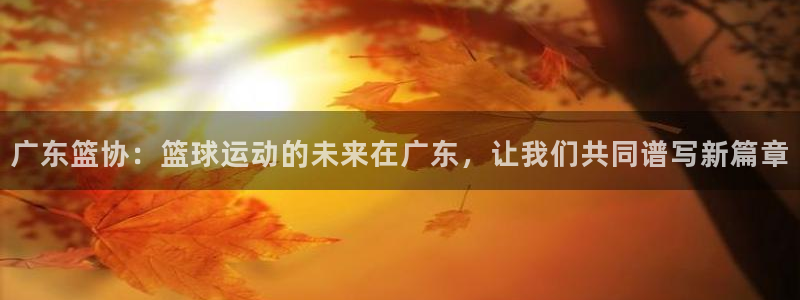 广东篮协：篮球运动的未来在广东，让我们共同谱写新篇章